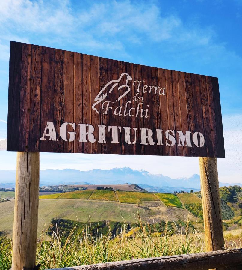 Agriturismo Terra Dei Falchi Castilenti Exterior photo